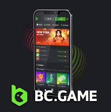 BC Game Online Casino Romania A Comprehensive Guide to Gaming and Bonuses